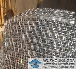 Pre-Crimped Woven Wire Net