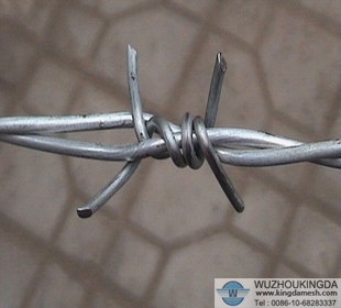 Double Twisted barbed wire