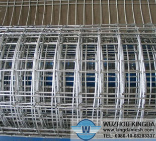 Hot-dipped galvanized welded wire netting