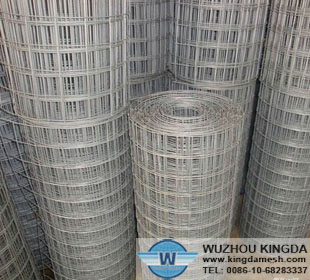 1/2”galvanized welded wire mesh-01