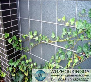 Welded wire mesh wall