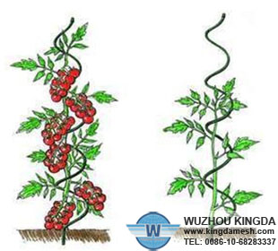 Tomato spiral plant stake wire