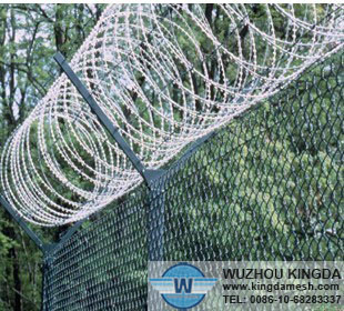 Anti-Theft Razor barbed wire