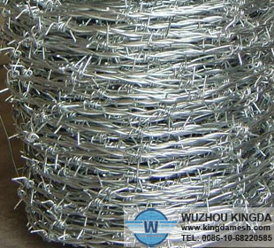 Stainless barbwire