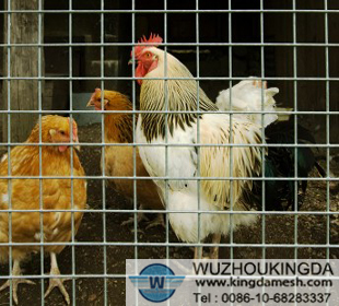Wire poultry fence
