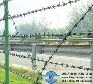 Galvanized iron barbed wire