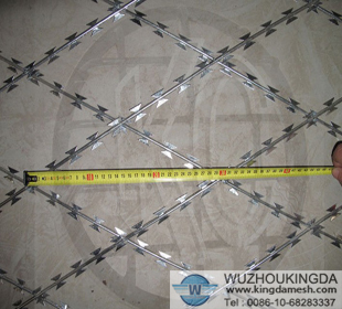 Stainless razor wire