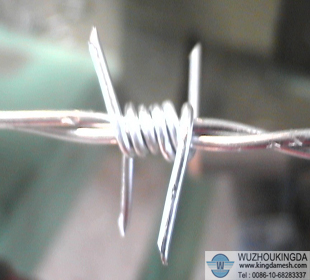 Stainless steel barbed wire